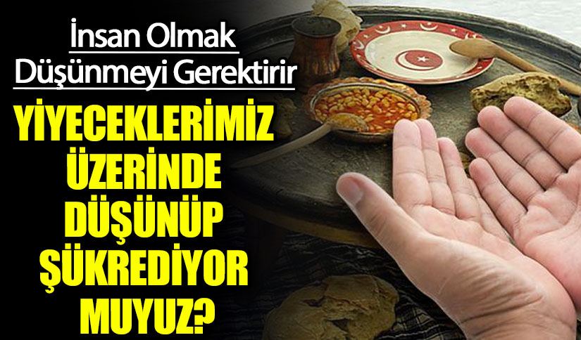 YİYECEKLERİMİZ ÜZERİNDE DÜŞÜNÜP ŞÜKREDİYOR MUYUZ?