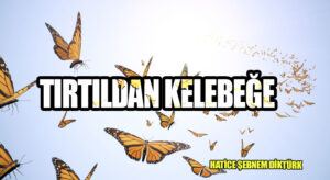 TIRTILDAN KELEBEĞE