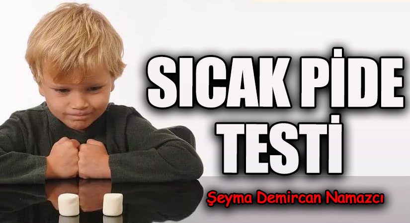 SICAK PİDE TESTİ
