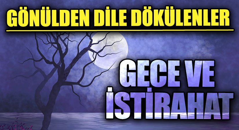 GÖNÜLDEN DİLE DÖKÜLENLER | GECE VE İSTİRAHAT