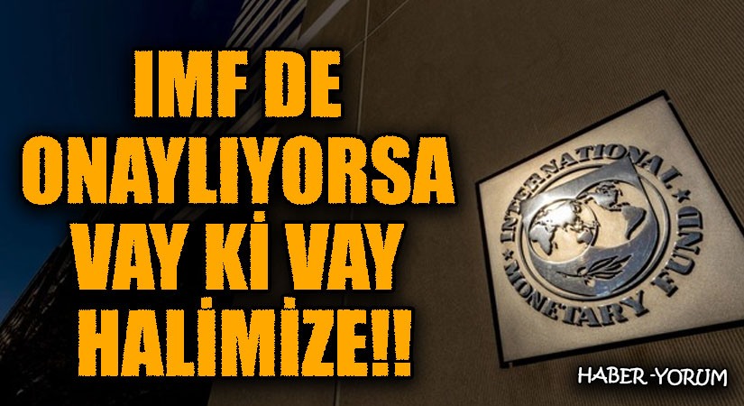 IMF DE ONAYLIYORSA VAY Kİ VAY HALİMİZE
