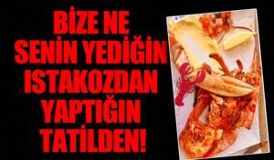 Bize Ne Senin Yediğin Istakozdan Yaptığın Tatilden