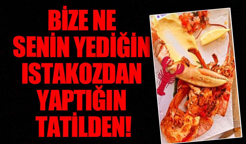 Bize Ne Senin Yediğin Istakozdan Yaptığın Tatilden