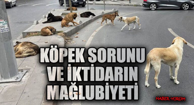 Köpek Sorunu ve İktidarın Mağlubiyeti