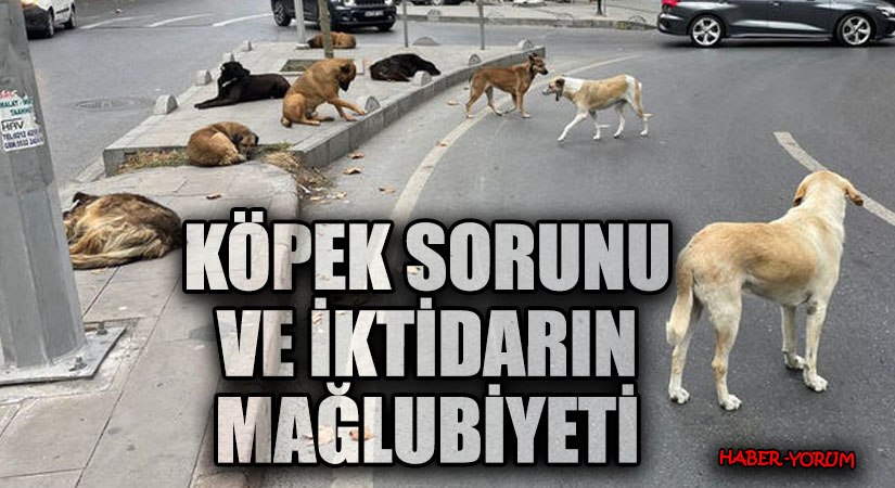 Köpek Sorunu ve İktidarın Mağlubiyeti