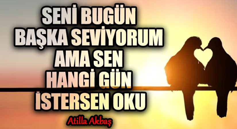 SENİ BUGÜN BAŞKA SEVİYORUM AMA SEN HANGİ GÜN İSTERSEN OKU