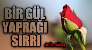 BİR GÜL YAPRAĞI SIRRI