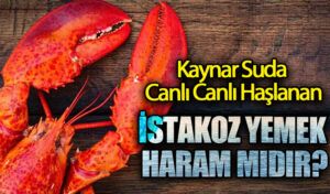 İSTAKOZ YEMEK HARAM MIDIR?