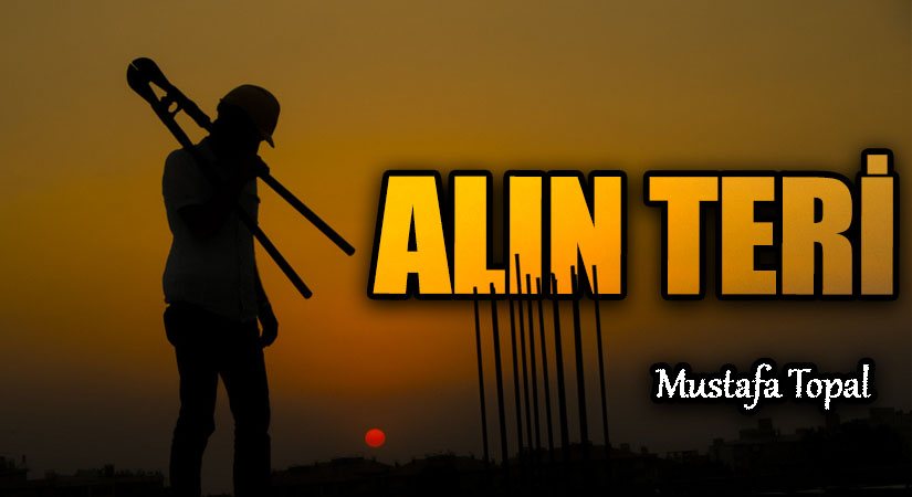 ALIN TERİ