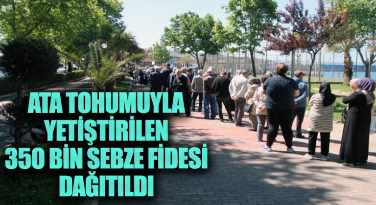 Ata Tohumlarıyla Yetiştirilen 350 Bin Sebze Fidesi Dağıtıldı