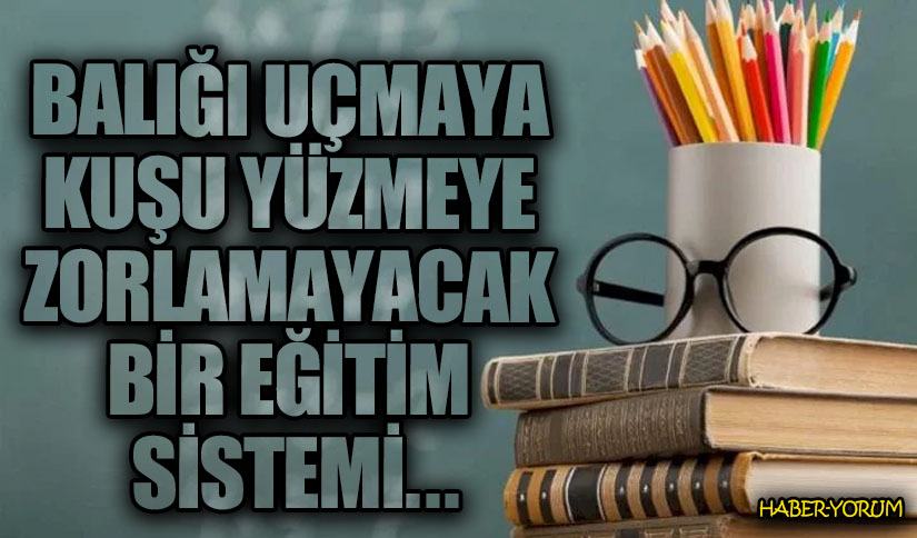 Balığı Uçmaya Kuşu Yüzmeye Zorlamayacak Bir Eğitim Sistemi…