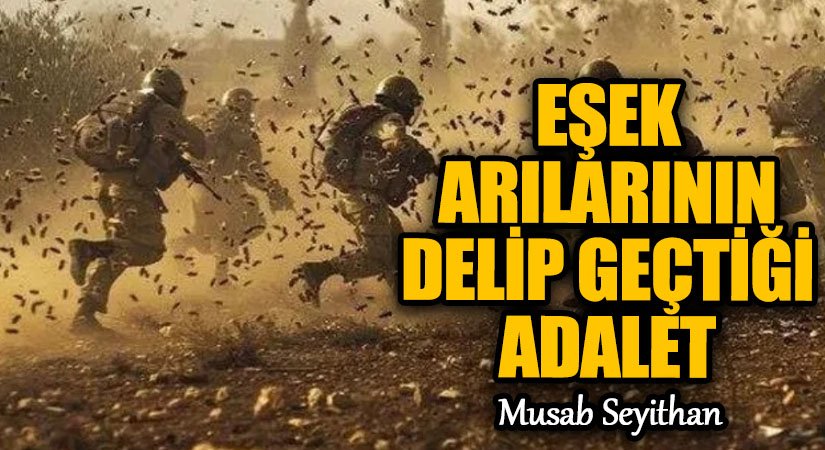EŞEK ARILARININ DELİP GEÇTİĞİ ADALET