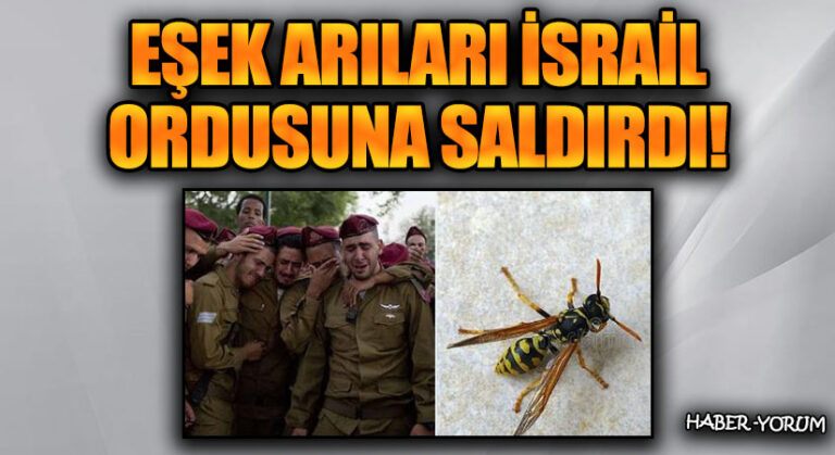 Eşek Arıları İsrail Ordusuna Saldırdı