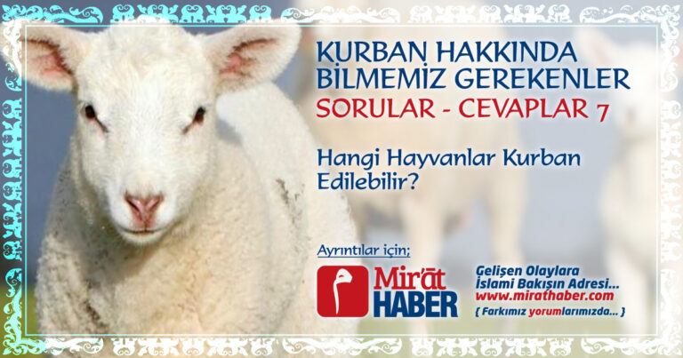 Hangi Hayvanlar Kurban Edilebilir?