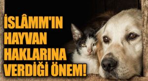 İslâm’ın Hayvan Haklarına Verdiği Önem