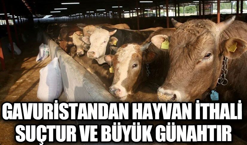 GAVURİSTANDAN HAYVAN İTHALİ SUÇTUR VE BÜYÜK GÜNAHTIR!