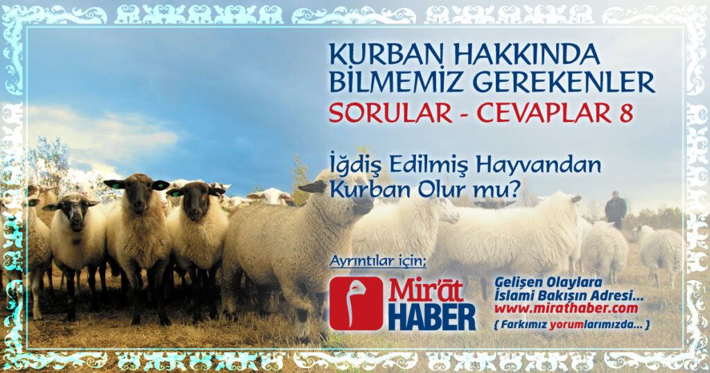 İğdiş Edilmiş Hayvanlardan Kurban Olur Mu?