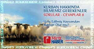 İğdiş Edilmiş Hayvanlardan Kurban Olur Mu?