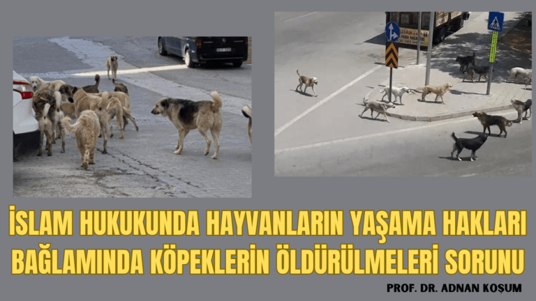 İSLAM HUKUKUNDA HAYVANLARIN YAŞAMA HAKLARI BAĞLAMINDA KÖPEKLERİN ÖLDÜRÜLMELERİ SORUNU