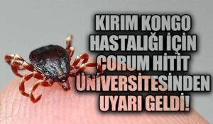 Kırım Kongo Hastalığı İçin Çorum Hitit Üniversitesinden Uyarı Geldi