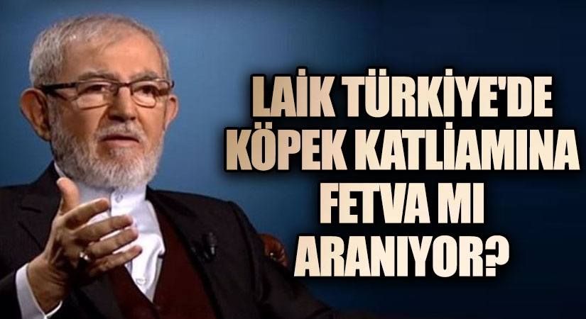 KÖPEKLERİN UYUTULMASINA İLİŞKİN ALİ RIZA DEMİRCAN HOCAMIZIN GÖRÜŞÜ