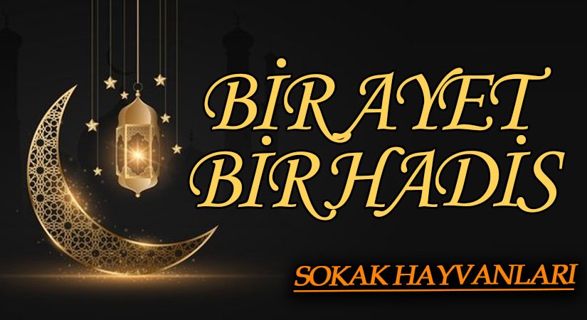 BİR AYET BİR HADİS “Sokak Hayvanları”