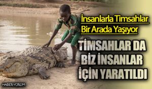 TİMSAHLAR DA BİZ İNSANLAR İÇİN YARATILDI