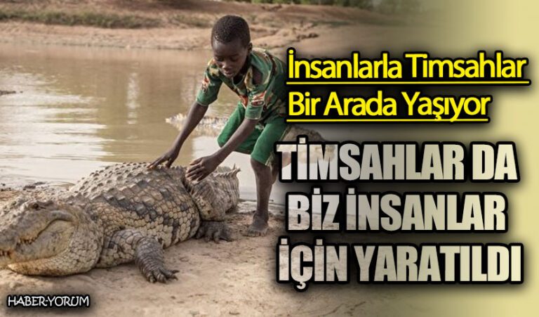 TİMSAHLAR DA BİZ İNSANLAR İÇİN YARATILDI