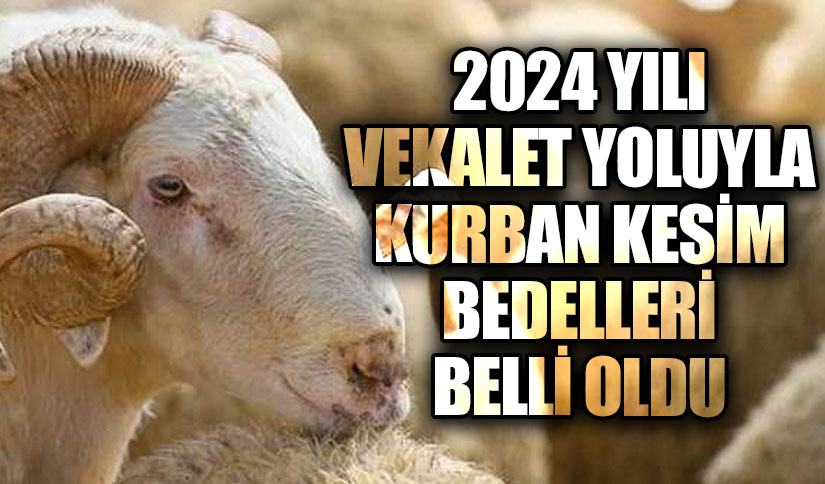 DİYENET DUYURDU! KURBAN KESİM BEDELLERİ AÇIKLANDI