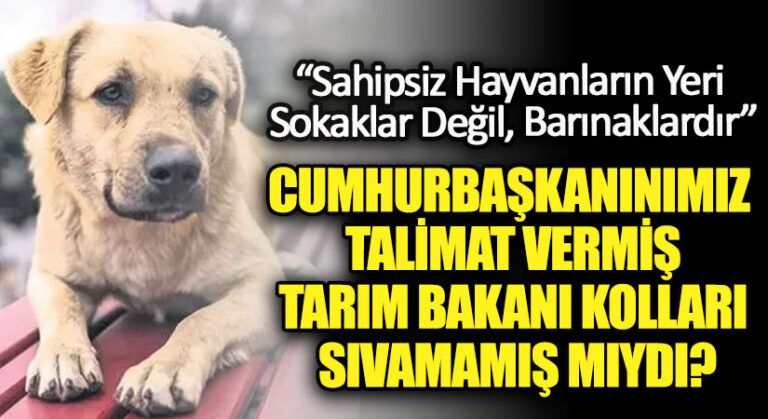 CUMHURBAŞKANINIMIZ TALİMAT VERMİŞ TARIM BAKANI KOLLARI SIVAMAMIŞ MIYDI?