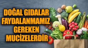 DOĞAL GIDALAR FAYDALANMAMIZ GEREKEN MUCİZELERDİR