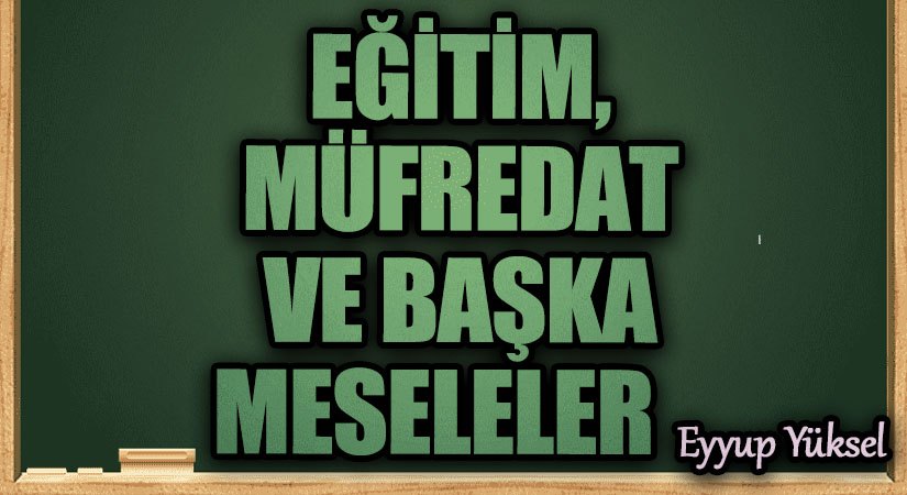  EĞİTİM, MÜFREDAT VE BAŞKA MESELELER     