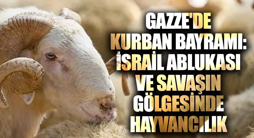 Gazze’de Kurban Bayramı Krizi: Savaşın Gölgesinde Hayvancılık
