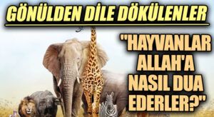 GÖNÜLDEN DİLE DÖKÜLENLER “Hayvanlar Allah’a Nasıl Dua Ederler?”