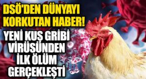DSÖ Açıkladı! Kuş Gribinden İlk İnsan Ölümü Gerçekleşti