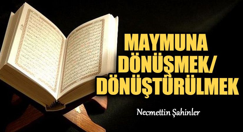 MAYMUNA DÖNÜŞMEK/DÖNÜŞTÜRÜLMEK