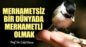 MERHAMETSİZ BİR DÜNYADA MERHAMETLİ OLMAK