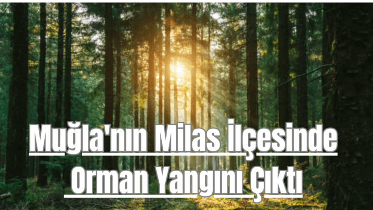 Muğla’nın Milas İlçesinde Orman Yangını Çıktı