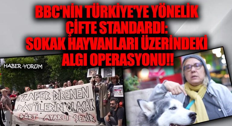 BBC’nin Türkiye’ye Yönelik Çifte Standardı: Sokak Hayvanları Üzerindeki Algı Operasyonu