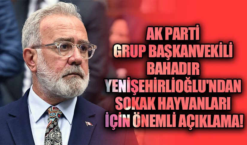 AK Parti Grup Başkanvekili Yenişehirlioğlu’ndan Sokak Hayvanları İçin Önemli Açıklama