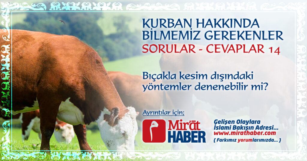 Bıçakla Kesim Dışındaki Yöntemler Denenebilir mi?