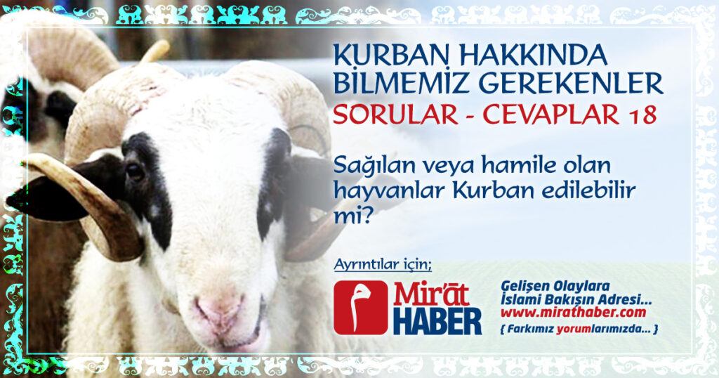 SAĞILAN VEYA HAMİLE OLAN HAYVANLAR KURBAN EDİLEBİLİR Mİ?