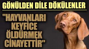 GÖNÜLDEN DİLE DÖKÜLENLER “Hayvanları Keyfice Öldürmek Cinayettir”