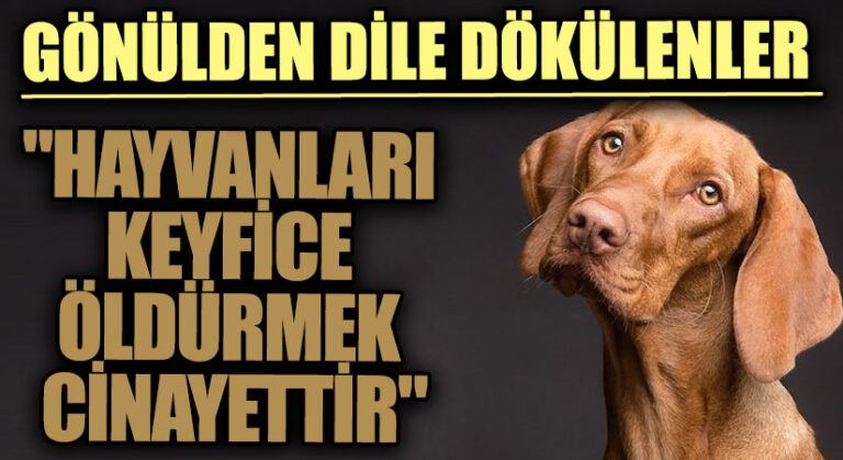 GÖNÜLDEN DİLE DÖKÜLENLER “Hayvanları Keyfice Öldürmek Cinayettir”