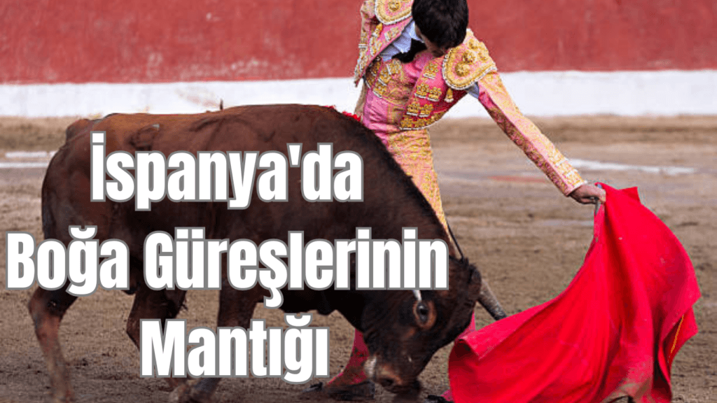 İspanya’da Boğa Güreşlerinin Mantığı