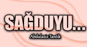Sağduyu…