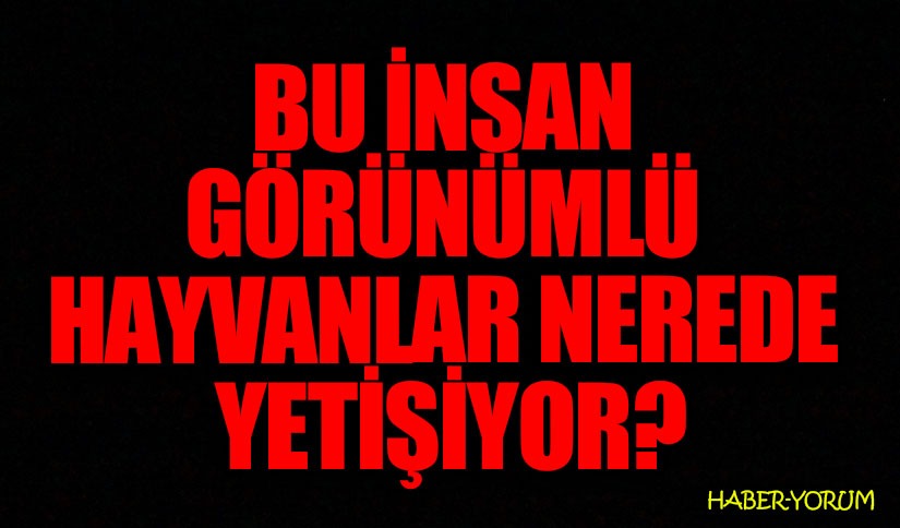 BU İNSAN GÖRÜNÜMLÜ HAYVANLAR NEREDE YETİŞİYOR?