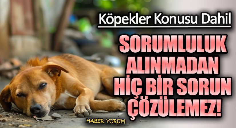 SORUMLULUK ALINMADAN HİÇ BİR SORUN ÇÖZÜLEMEZ!