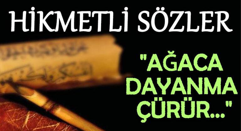HİKMETLİ SÖZLER “Ağaca Dayanma Çürür..”