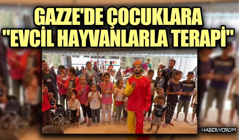 Gazze’de Çocuklara “Evcil Hayvanlarla Terapi”